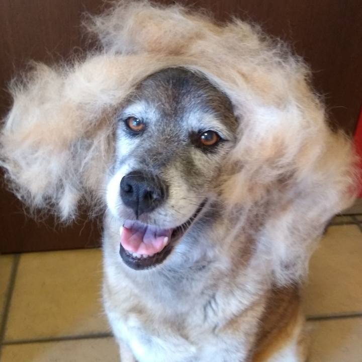 Fb7ea3be 0dd7 445d bada 4c91775e9340 1723332645217