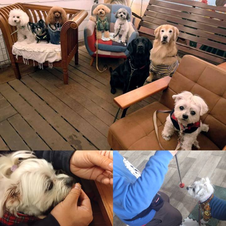 Fb7ece7f 05df 4b1c a948 f5eb6c668f05 1768204224871