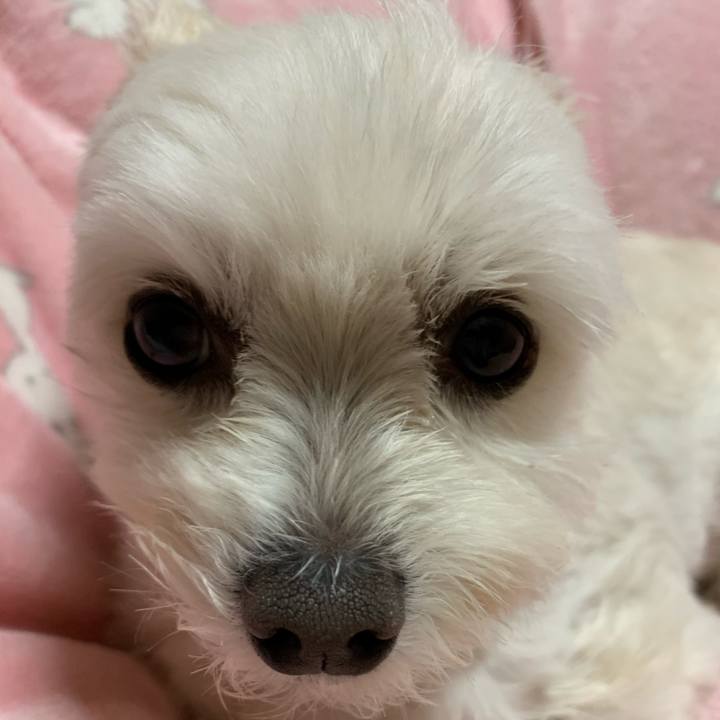 Fb7f561e 8fa6 4062 ba84 dfb7c979cbdc 1580206497164