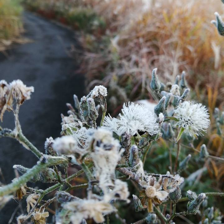 Fb7f592a c642 4ef5 b455 8f118e700733 1574991140283