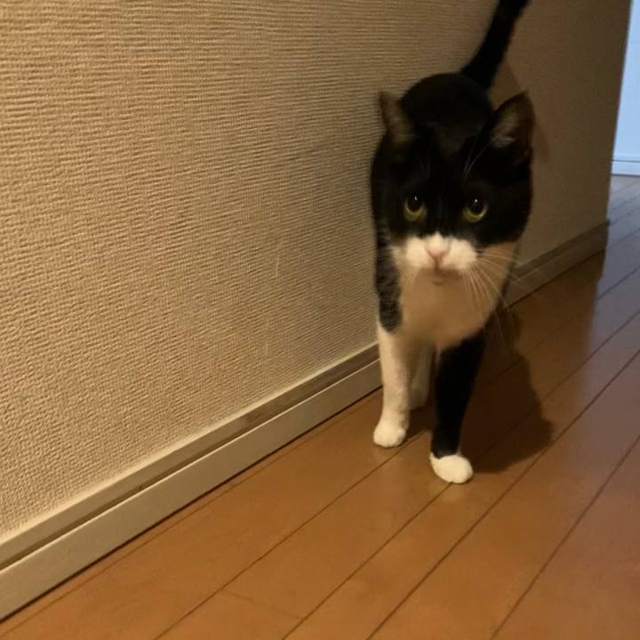 Fb7f6405 e7c4 4aa8 aae6 d8870f2651ae 1653188910584