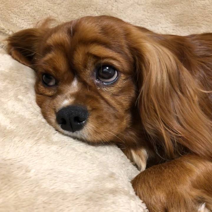 Fb7f7b9f 6a45 4ac9 b251 d870cdbe5cc0 1576620543492