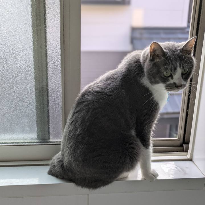 Fb7ff681 ce1b 4ac3 823f cadc58f33a63 1750242516377