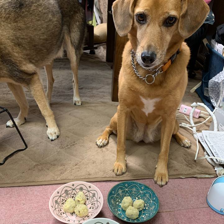 Fb7ffdf3 33c8 45c0 a2e0 8c22ccabe85c 1571551096966