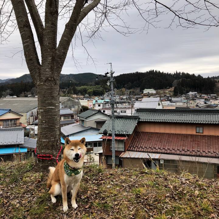 Fb80049a ecee 4a1f 9409 967e9c4e6d8e 1547108058521