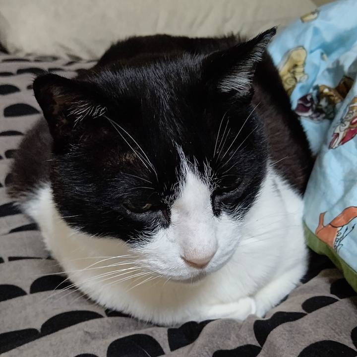 Fb80181f 6b0a 4663 b480 bbe3912a32c6 1649797540036