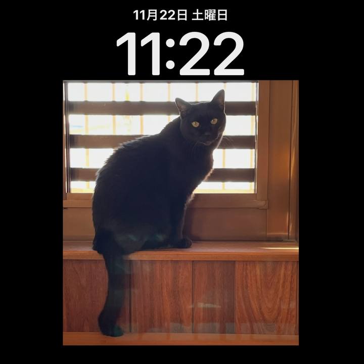 Fb802529 822f 4dd6 b74f 6d33f732ece7 1763779693167