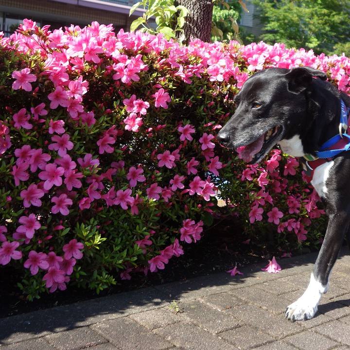 Fb80296f 4916 4eaa b97d 7cae52bf87d7 1684199092778