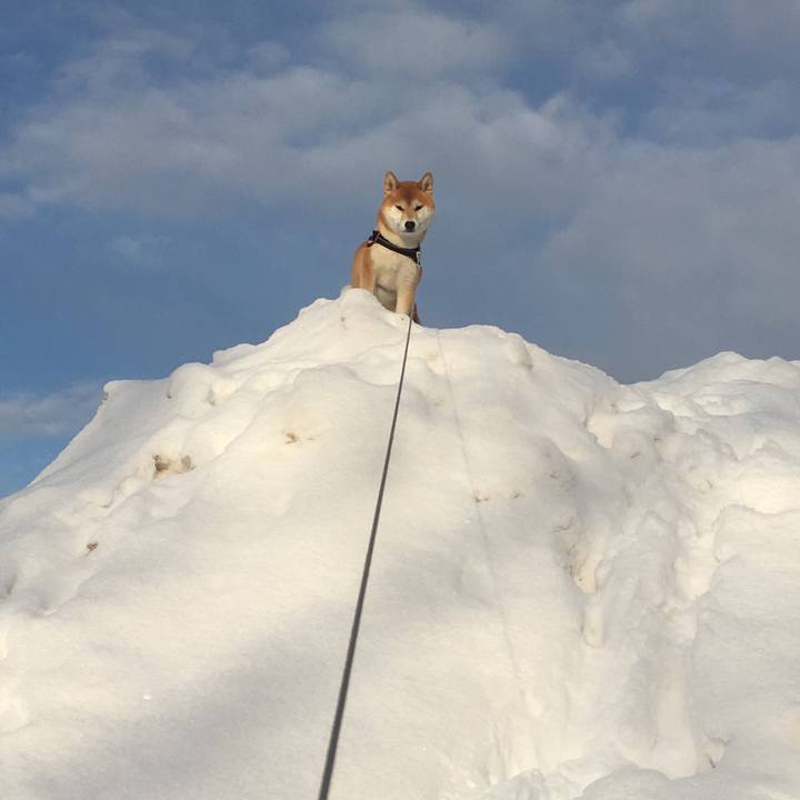 Fb802c42 b36f 468e 91be f435198ae8f5 1517529067408