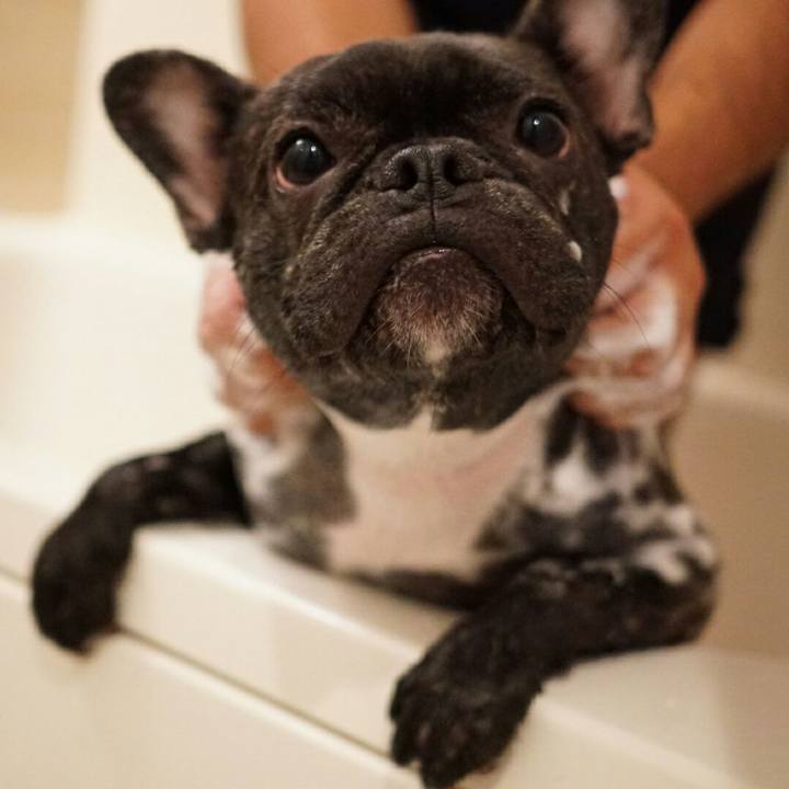 Fb805936 de65 41f3 8f23 30781c70e5f4 1510488169722