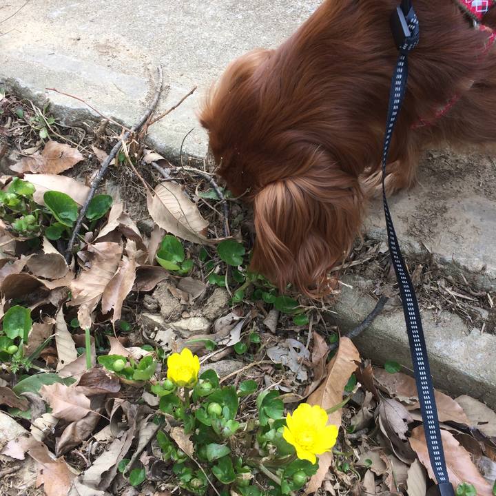 Fb8073b5 240e 44be 94ff f4f8e384ec8d 1521363233041