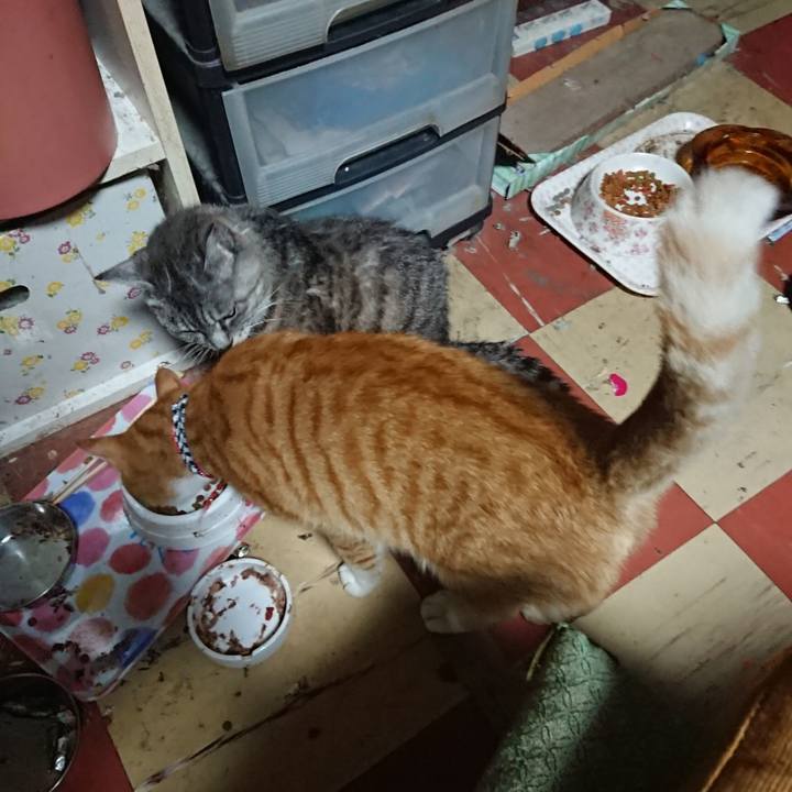 Fb8075d7 e7e5 4621 9773 62f397ec723a 1568751073825