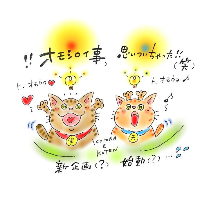 Fb8077a2 1eca 424d 9eab 087056d4d873 1581355675300