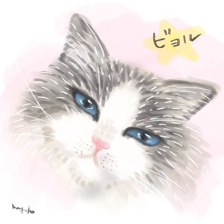 Fb80a204 749d 46b0 879a 8d96768e5996 1571962929071