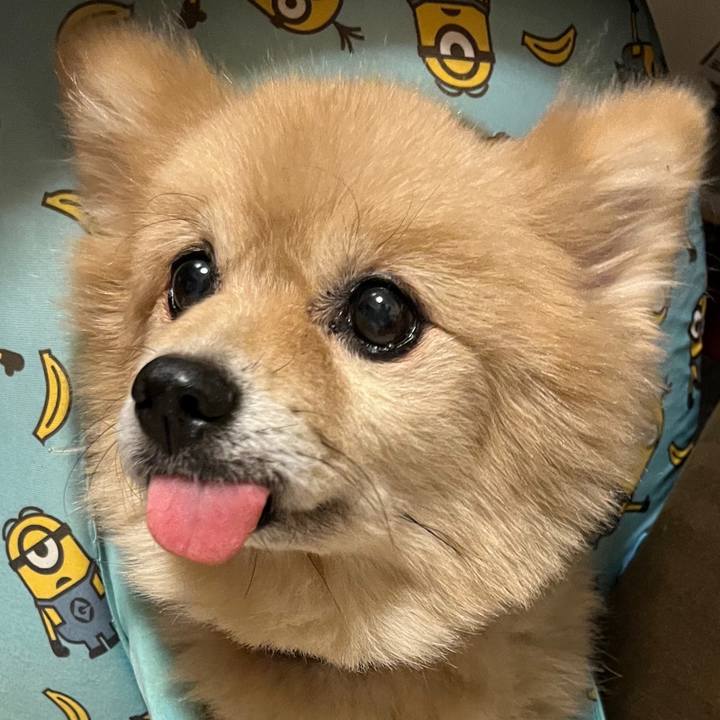 Fb80acf4 71c1 4743 848b b6033b756227 1665387057563