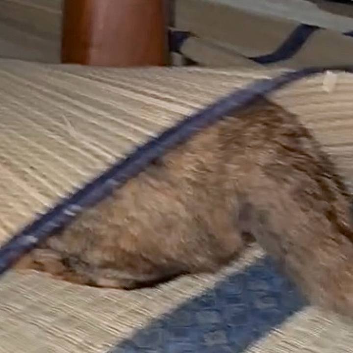 Fb80ae22 e435 495d a22d a4fda29372c0 1763842070232