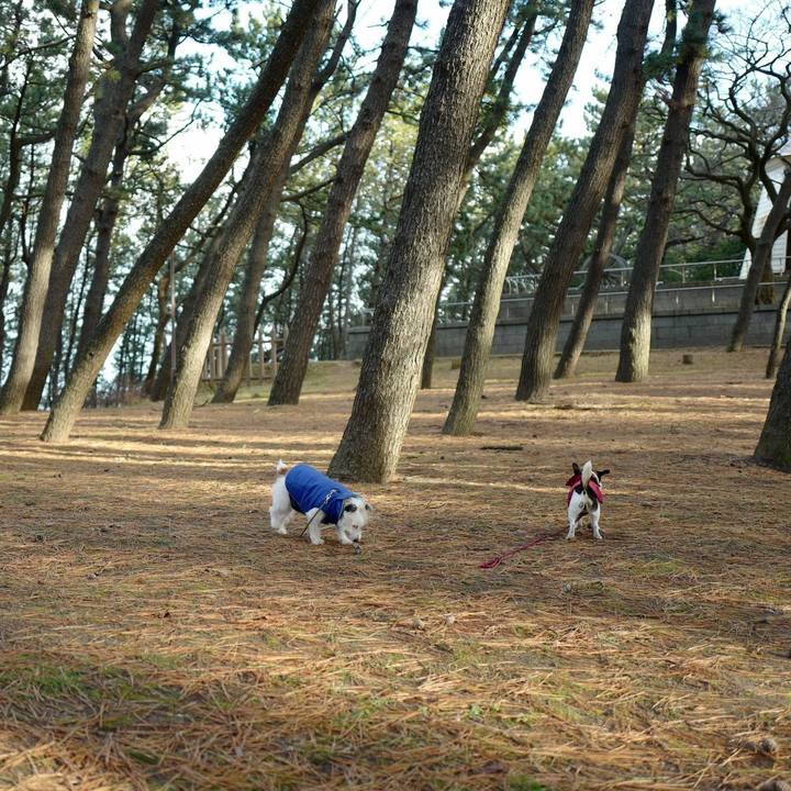 Fb80f5e7 29bf 4788 885d 25acaa0778f6 1546143235570