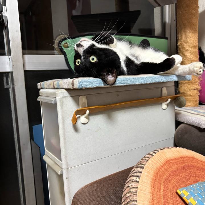 Fb812720 73c4 4473 8c79 e369ed727271 1758596999597