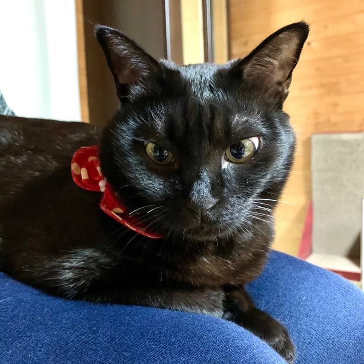 Fb815554 7b5d 4b5d ae0a e16c2f96ea3c 1580393147034