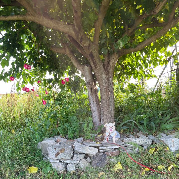 Fb818c94 d23a 4fae a3ea fba9ade803bc 1656064500684