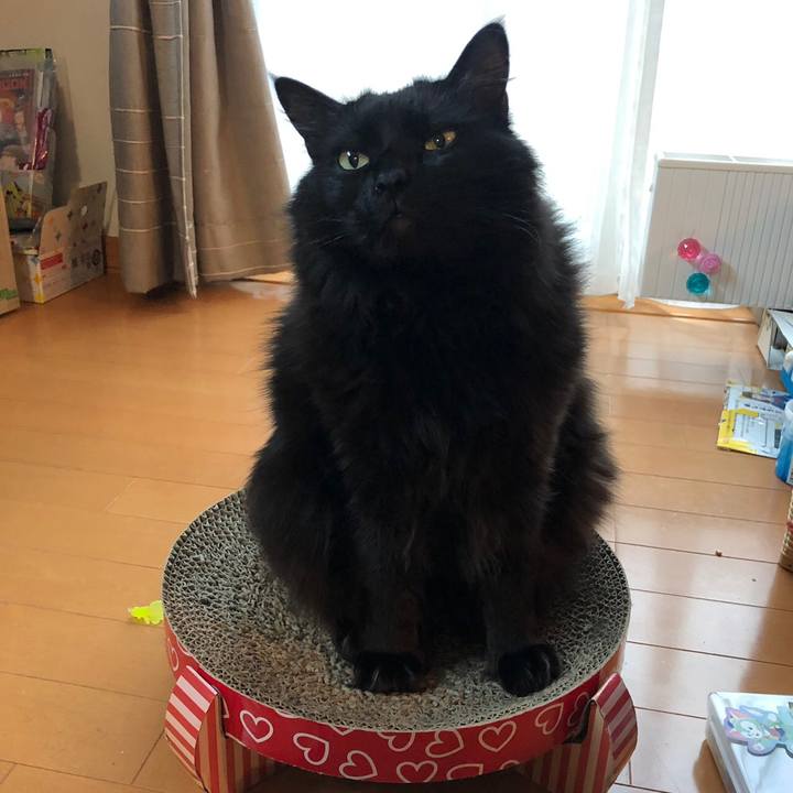 Fb819874 f044 4e9e a26a 7e5e9af79402 1556355266511