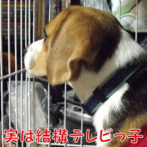 Fb81a3b9 a930 4af0 967f ca1c1400caac 1721519270824