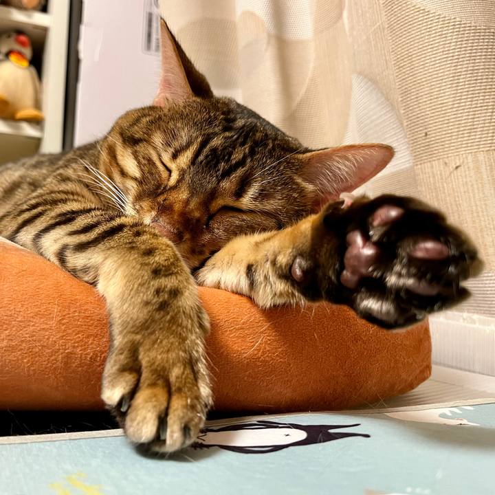 Fb81a7e4 e8f1 4305 968f ce7061b62f1b 1659796039829