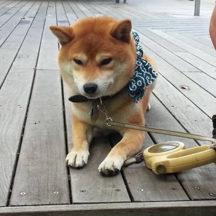 Fb81f012 c1c1 4115 ae20 6910b09a54ee 1729467260459