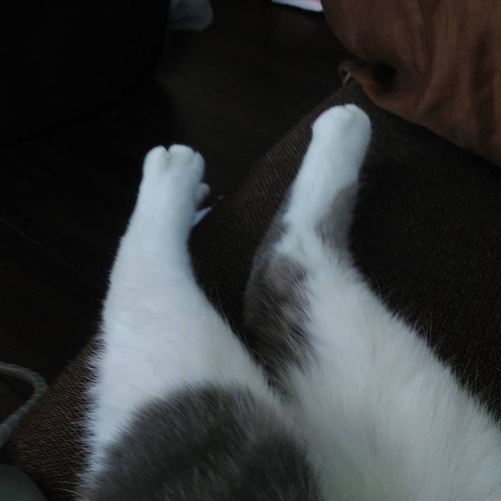 Fb821cca f30e 4dc8 8c7d 6df6a21dcb0f 1590735868631