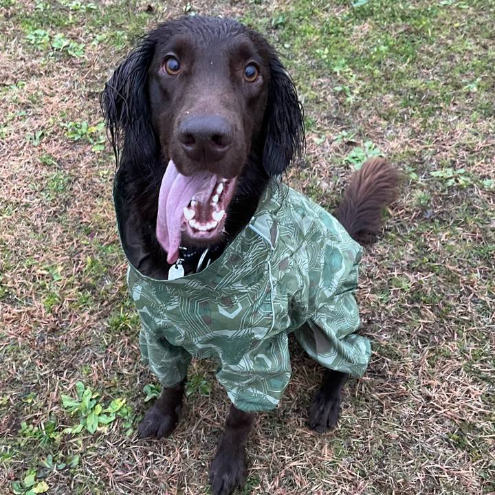 Fb823452 80ea 4e5d bb63 f3ba10badebd 1639093101734