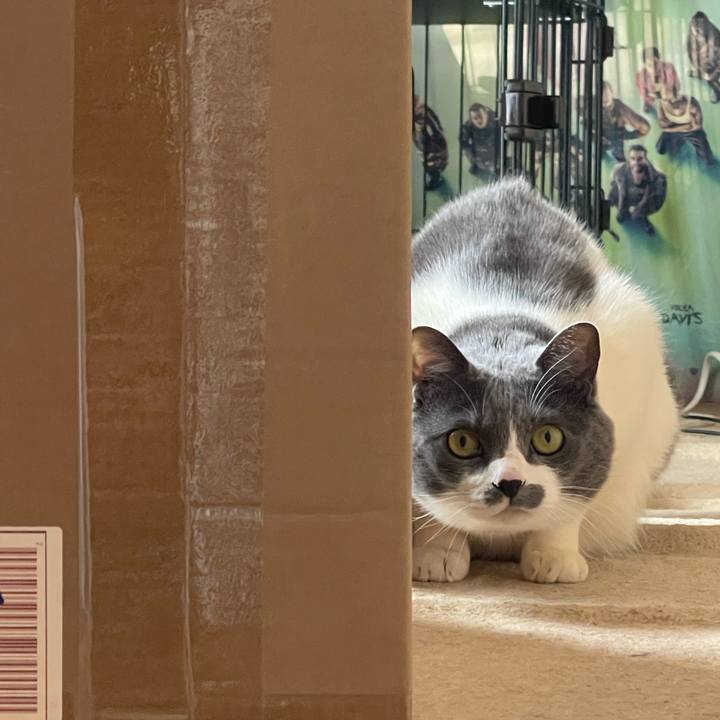 Fb825003 94e4 42d7 b7fe 5601bb3fc7dd 1742875802662