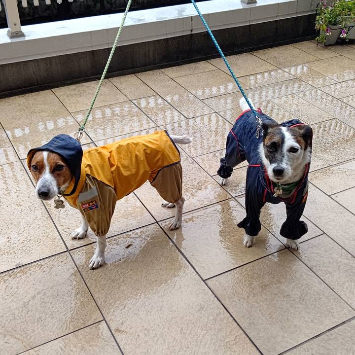 Fb82a1bc 2dc3 4eb4 adb6 240af691d37c 1654473279604