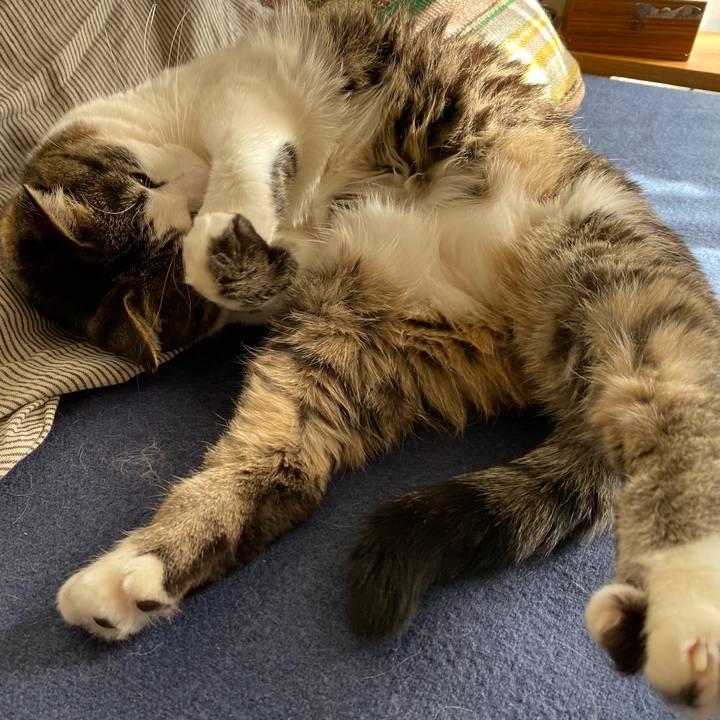 Fb82b43c 32ff 42d3 9752 19d8d6b6e5f3 1609377851197