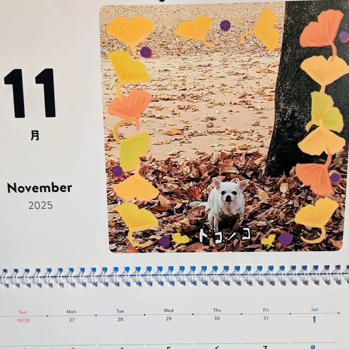 Fb8301cf 83eb 4ce8 a179 048f5a7b9329 1762065348083