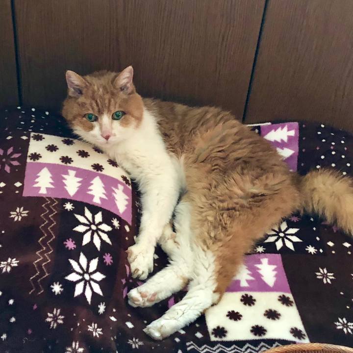 Fb832823 23ed 4728 93cf 839b0d42e733 1530272182357