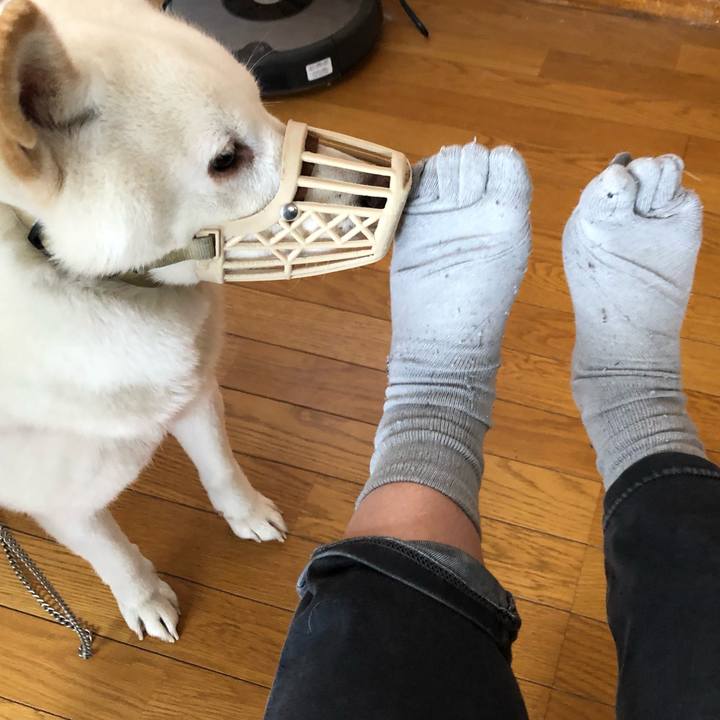 Fb8379fa 621d 449a 9b5e 4bd6dd9a82c0 1573870968191