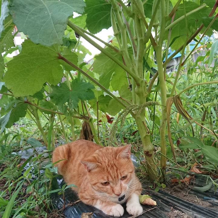 Fb83c131 8568 4f60 8fdb 0269c4555e1a 1565085281609