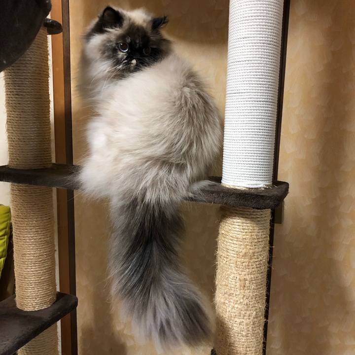 Fb83f7a6 4477 49e7 82c1 5676f161aa5b 1652452848361