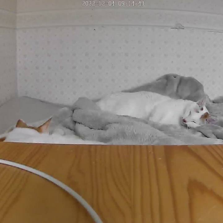 Fb8418fc 1607 4c15 8893 bb521af778be 1670112937629