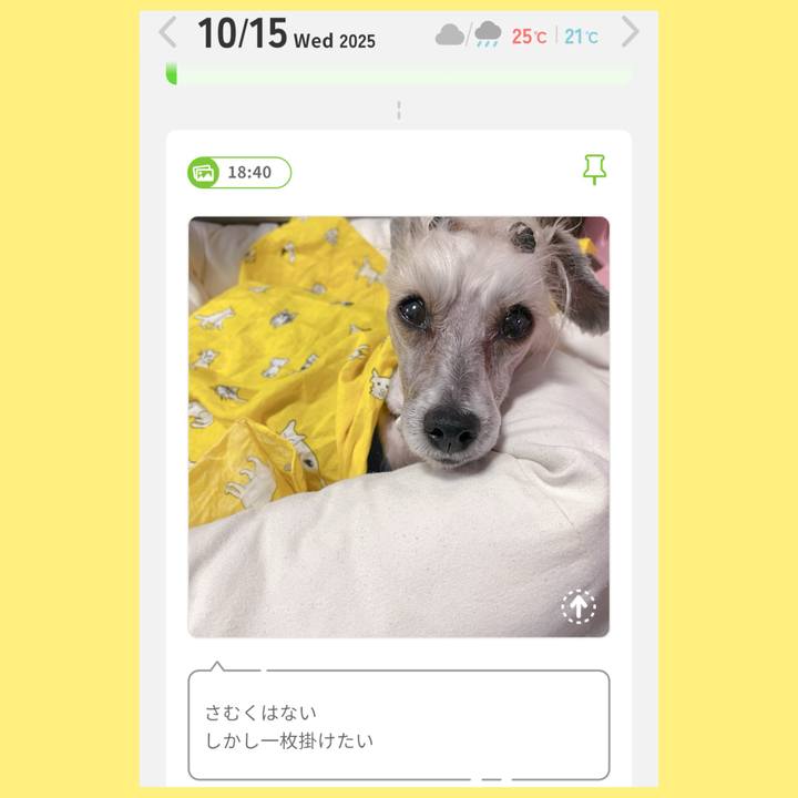 Fb841bcc f673 4e18 85f1 e31ea656c7e8 1760521558166