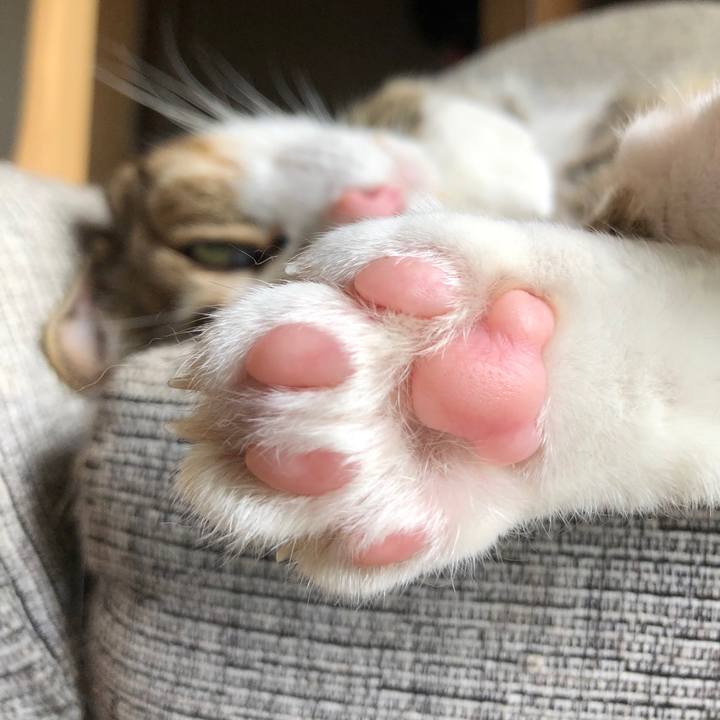 Fb8426d1 046b 4df2 8738 060fef8bb33e 1592962558677