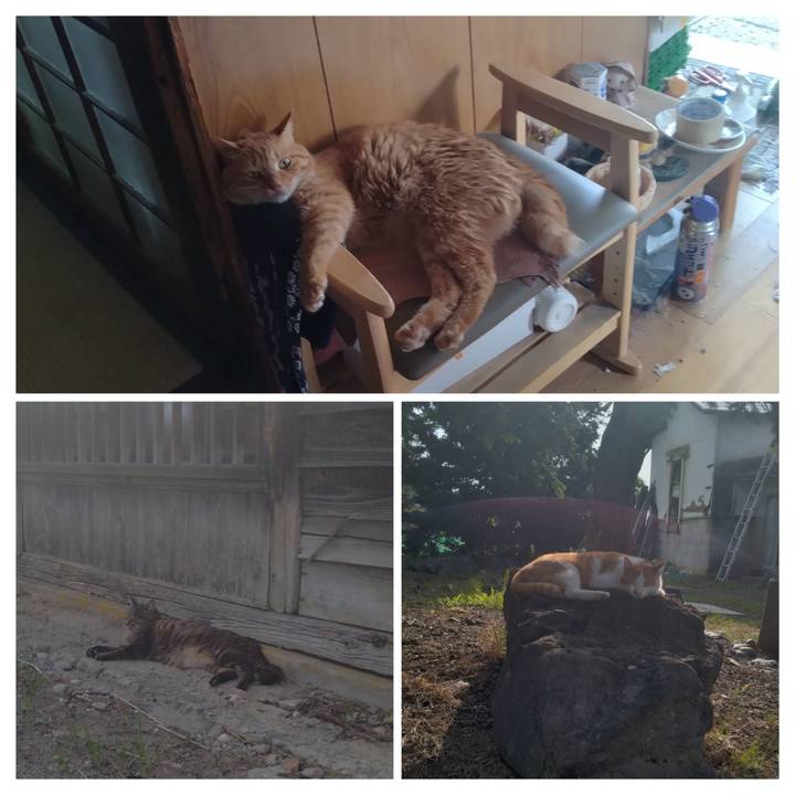 Fb844205 2f1b 4ee4 8898 ede54f2216e0 1751187529490