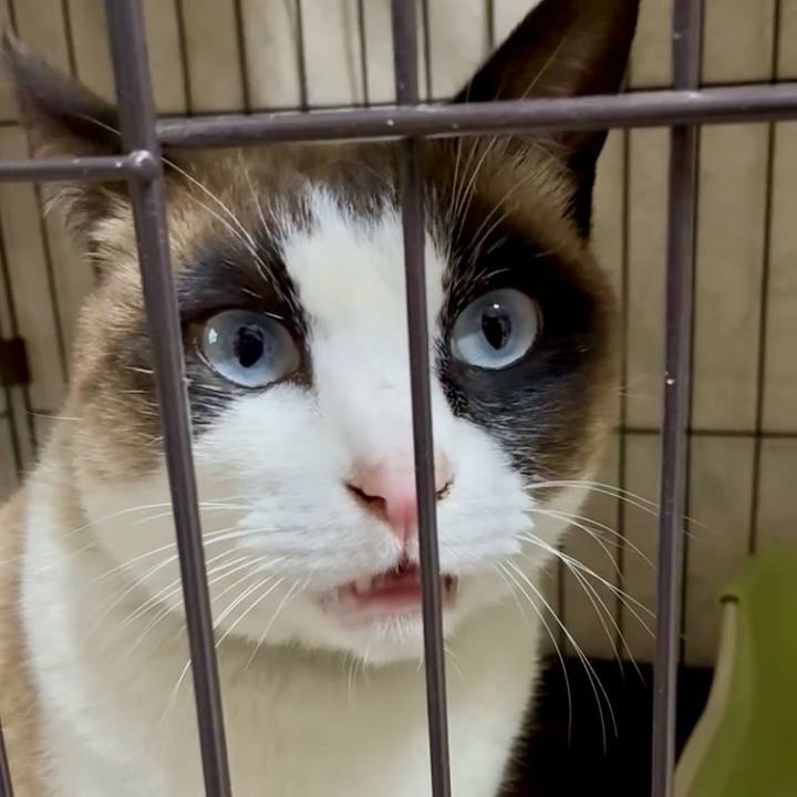 Fb844440 5348 4010 9a75 91d1a93805c4 1772376588004