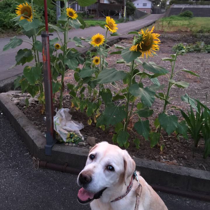 Fb844640 5e5a 41aa 92ed 10a3d3517a88 1532172730874