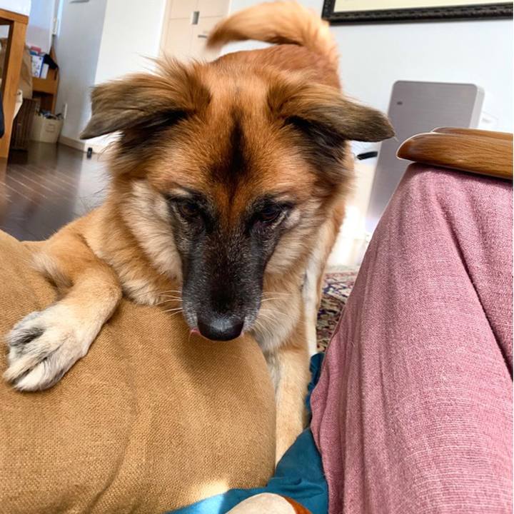 Fb84b857 e9fa 4423 b964 6bcc16ed116f 1766455946482