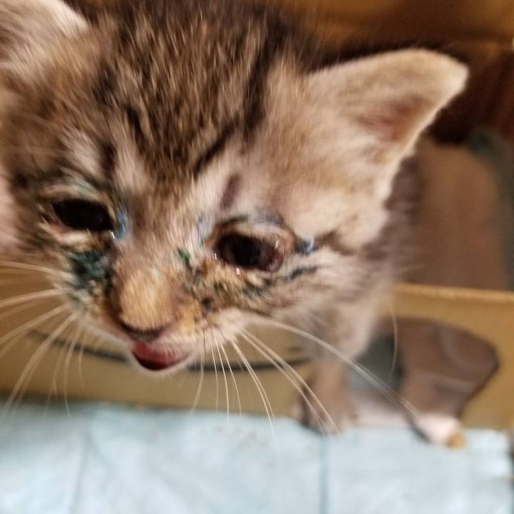 Fb84d3ff 5179 46fa be14 526a98012423 1660406744410