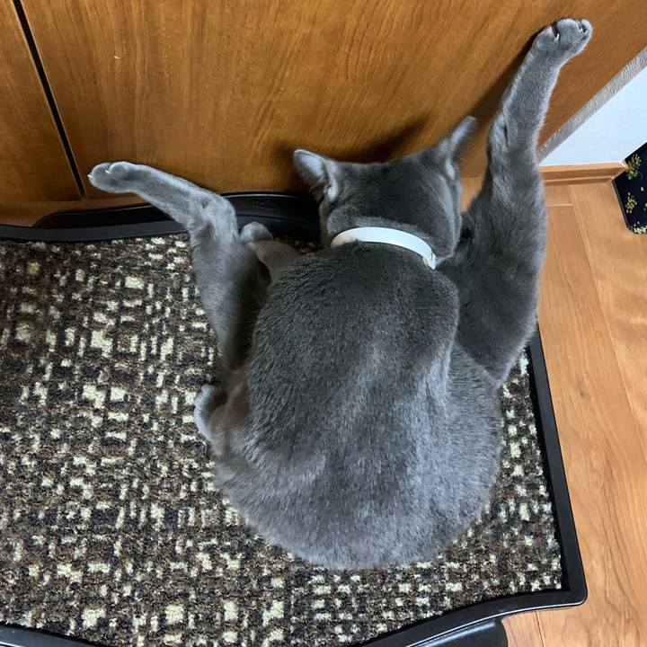 Fb84e8a4 ee36 4713 859e 73757b3ca679 1624975844059