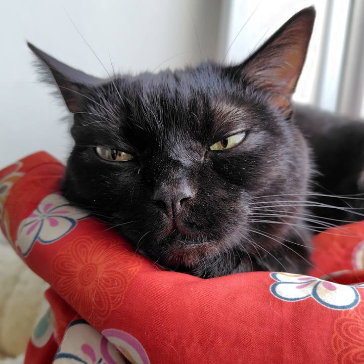 Fb853c67 eb86 40f2 bda6 efc9875c205f 1757889929618