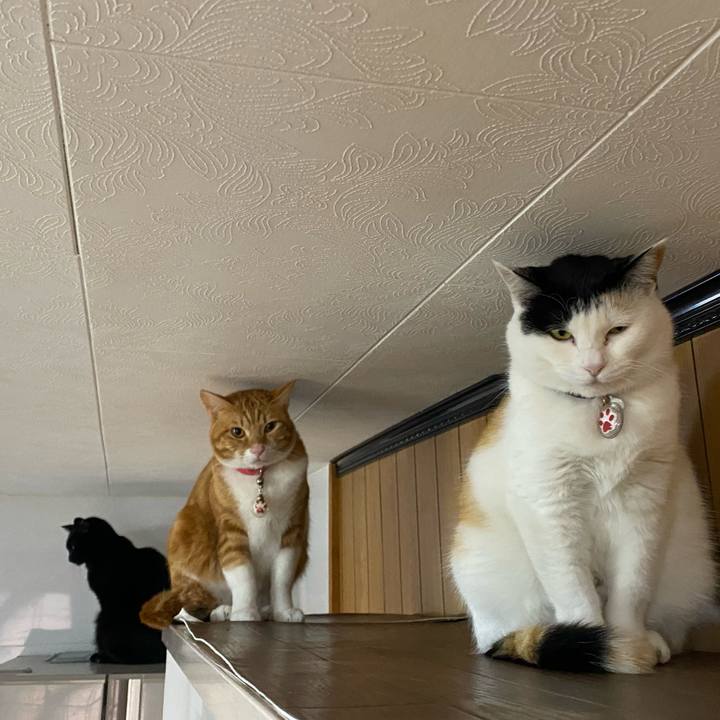 Fb854a9e 6e7a 4d40 a6d0 09b42a80dc27 1644134765630