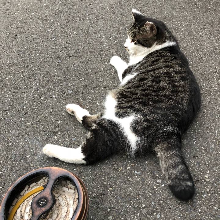 Fb856dfe eb6f 46b3 9381 7b2ae0e6bcad 1534825250068